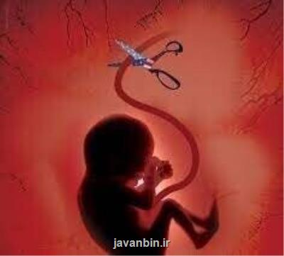 ابطال پروانه کار در انتظار پزشکان خاطی سقط جنین