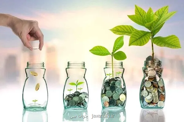 تامین مالی طرح های فرهنگی به بلوغ نرسیده