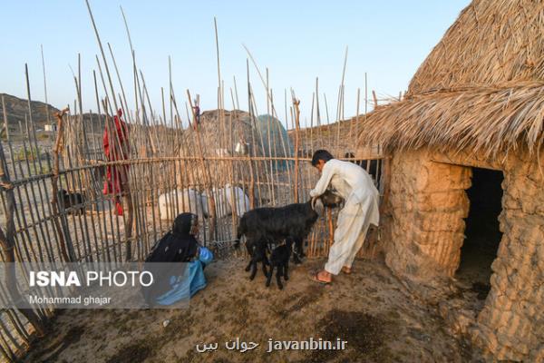 ایجاد ۲۱۰۰۰ شغل در مناطق محروم سیستان و بلوچستان