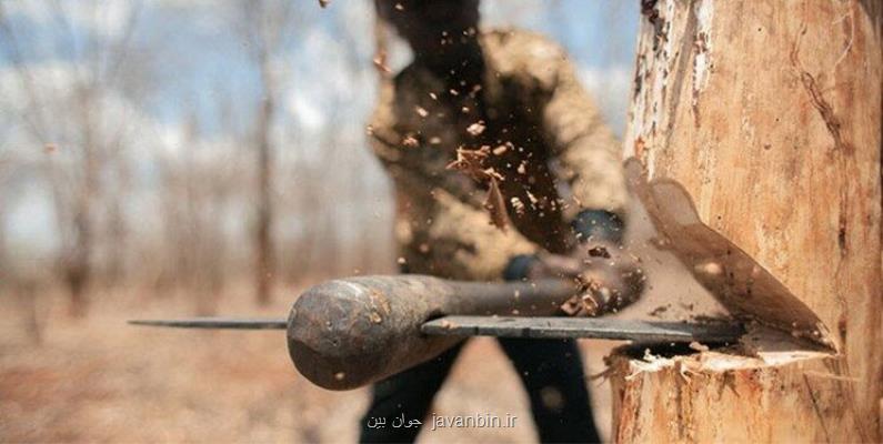 دوگانگی سهمگین تر از ضربه تبر بر میراث طبیعی گیلان