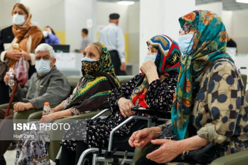 از پدیده سالمندان زن تنهای فرهیخته تا شتاب منحصربه فرد سالمند شدن جمعیت ایران