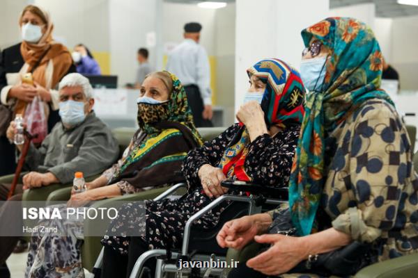 از پدیده سالمندان زن تنهای فرهیخته تا شتاب منحصربه فرد سالمند شدن جمعیت ایران