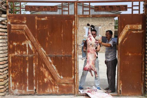 روش های جذب نذورات عید قربان توسط دستگاه های حمایتی