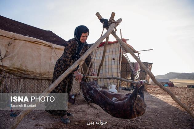 جزئیات بیمه مجانی مادران خانه دار روستایی دارای۳ فرزند و بیشتر