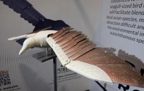 پهپاد جاسوس که با پرنده واقعی مو نمی زند