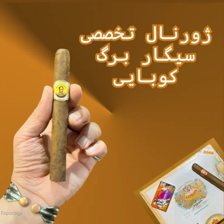 هر آنچه باید درباره سیگار برگ بدانید