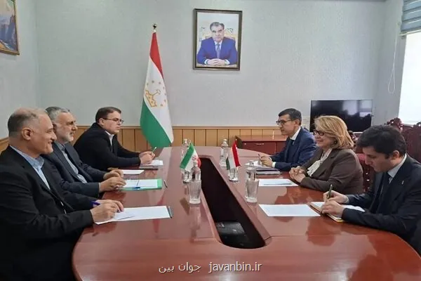 تشکیل کارگروه مشترک فرهنگی ایران و تاجیکستان تشکیل کارگروه مشترک فرهنگی ایران و تاجیکستان