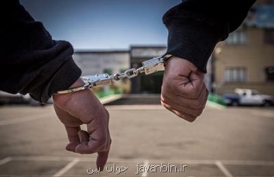 عامل تیراندازی منطقه وردآورد بازداشت شد