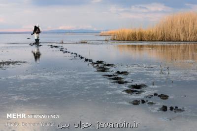 كنترل بیماری آنفولانزا درتالاب میقان